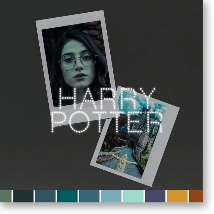 Potter